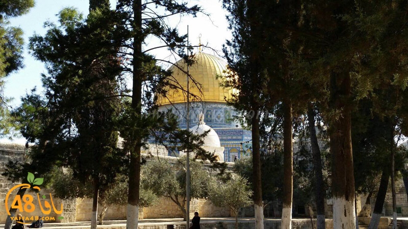 quds a7bab aqsa (7).JPG